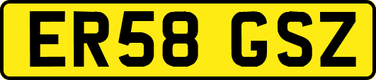 ER58GSZ