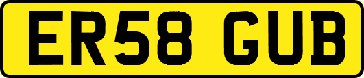 ER58GUB