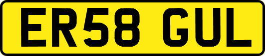 ER58GUL