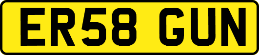 ER58GUN