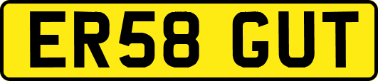 ER58GUT