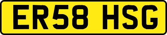 ER58HSG
