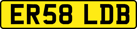 ER58LDB