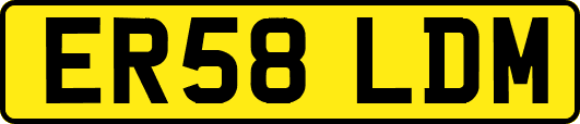 ER58LDM