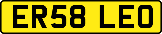ER58LEO