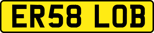 ER58LOB