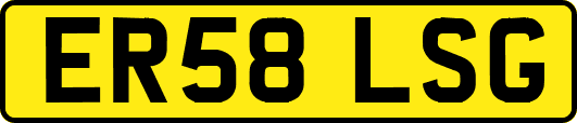 ER58LSG