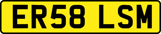 ER58LSM