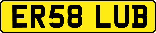 ER58LUB