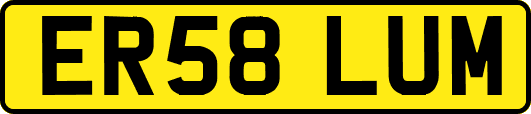 ER58LUM