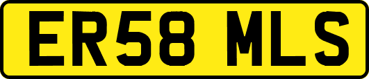 ER58MLS