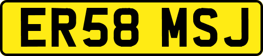ER58MSJ