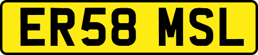 ER58MSL