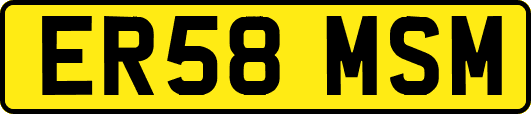 ER58MSM