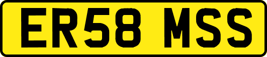 ER58MSS