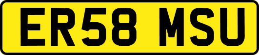 ER58MSU