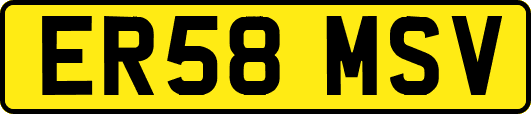 ER58MSV