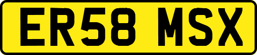 ER58MSX