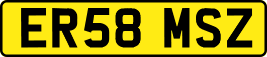 ER58MSZ