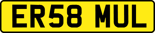 ER58MUL