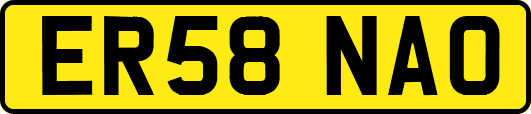 ER58NAO