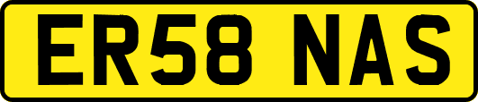 ER58NAS