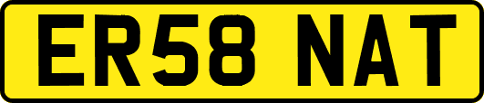 ER58NAT