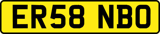 ER58NBO