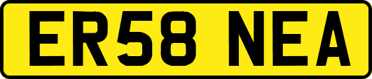 ER58NEA
