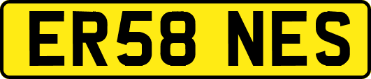 ER58NES