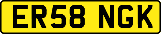 ER58NGK