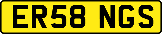 ER58NGS