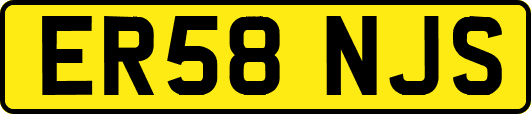 ER58NJS