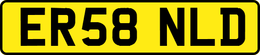 ER58NLD