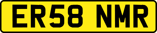ER58NMR