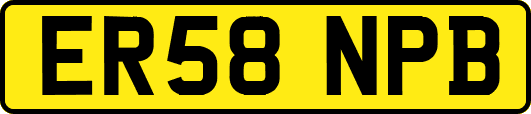 ER58NPB