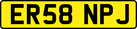 ER58NPJ