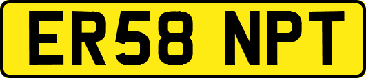 ER58NPT
