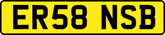 ER58NSB
