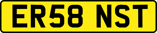 ER58NST