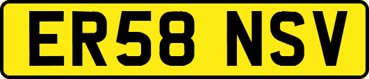 ER58NSV