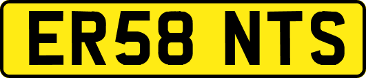 ER58NTS