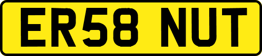 ER58NUT