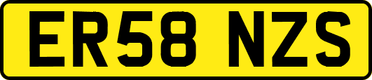 ER58NZS