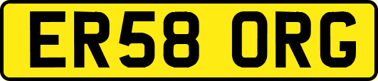 ER58ORG
