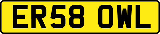 ER58OWL
