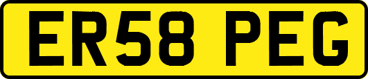 ER58PEG