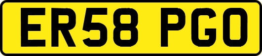 ER58PGO