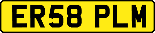 ER58PLM