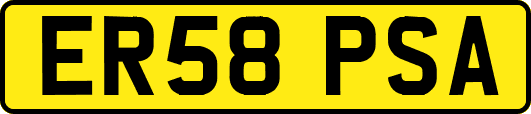 ER58PSA